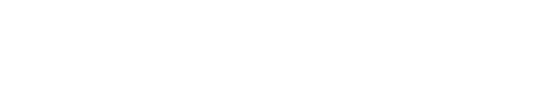 Inferity AI